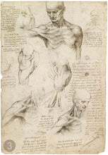 Carica l'immagine nel visualizzatore di Gallery, Disegni di Leonardo Da Vinci - relaxart.it