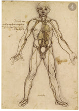 Carica l'immagine nel visualizzatore di Gallery, Disegni di Leonardo Da Vinci - relaxart.it