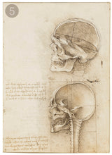 Carica l'immagine nel visualizzatore di Gallery, Disegni di Leonardo Da Vinci - relaxart.it