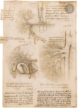 Carica l'immagine nel visualizzatore di Gallery, Disegni di Leonardo Da Vinci - relaxart.it
