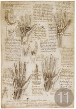 Carica l'immagine nel visualizzatore di Gallery, Disegni di Leonardo Da Vinci - relaxart.it
