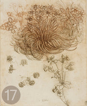 Carica l'immagine nel visualizzatore di Gallery, Disegni di Leonardo Da Vinci - relaxart.it
