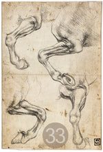 Carica l'immagine nel visualizzatore di Gallery, Disegni di Leonardo Da Vinci - relaxart.it
