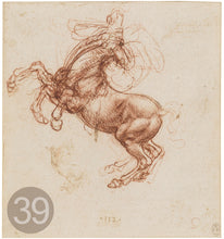 Carica l'immagine nel visualizzatore di Gallery, Disegni di Leonardo Da Vinci - relaxart.it