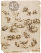 Carica l'immagine nel visualizzatore di Gallery, Disegni di Leonardo Da Vinci - relaxart.it