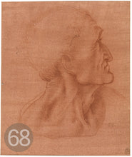 Carica l'immagine nel visualizzatore di Gallery, Disegni di Leonardo Da Vinci - relaxart.it