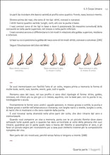 Carica l'immagine nel visualizzatore di Gallery, Libro di Leonardo Da Vinci - relaxart.it