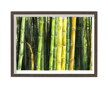 Carica l'immagine nel visualizzatore di Gallery, Acquerello Terra 09 - relaxart.it
